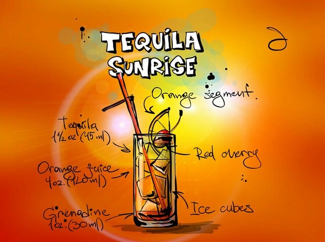 A layered tequila sunrise cocktail in a tall glass, demonstrating how gradient densities create visual art using just three common ingredients